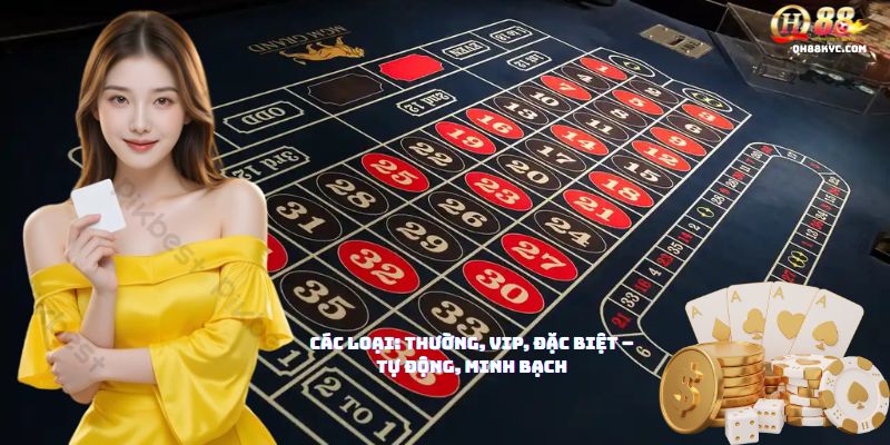 Các loại phao cứu hộ QH88